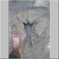 100_0575 (2009-26-07)m.JPG